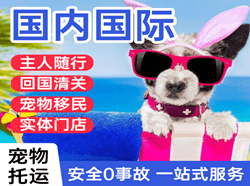 赛乌素机场快递国际宠物托运 【国